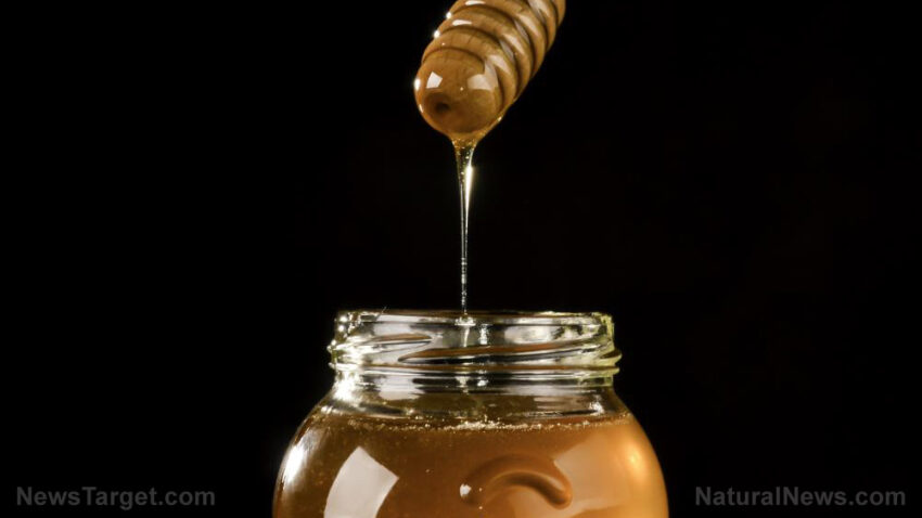 Image: RESEARCH: Manuka honey contains natural antiviral compounds that fight influenza (and covid)