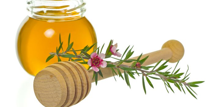 Achetez du miel de manuka (si vous pouvez)