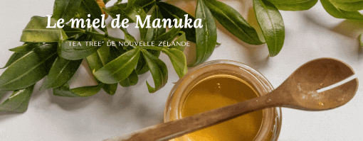 Le miel de Manuka de Nouvelle-Zélande.