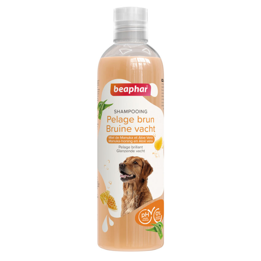 Shampoing essentiel pour chiens bruns à l'aloe vera et au miel de Manuka